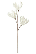J-Line bloem Tak 3 Koppen Eva - polyresin - wit