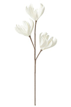 J-Line bloem Tak 3 Koppen Eva - polyresin - wit