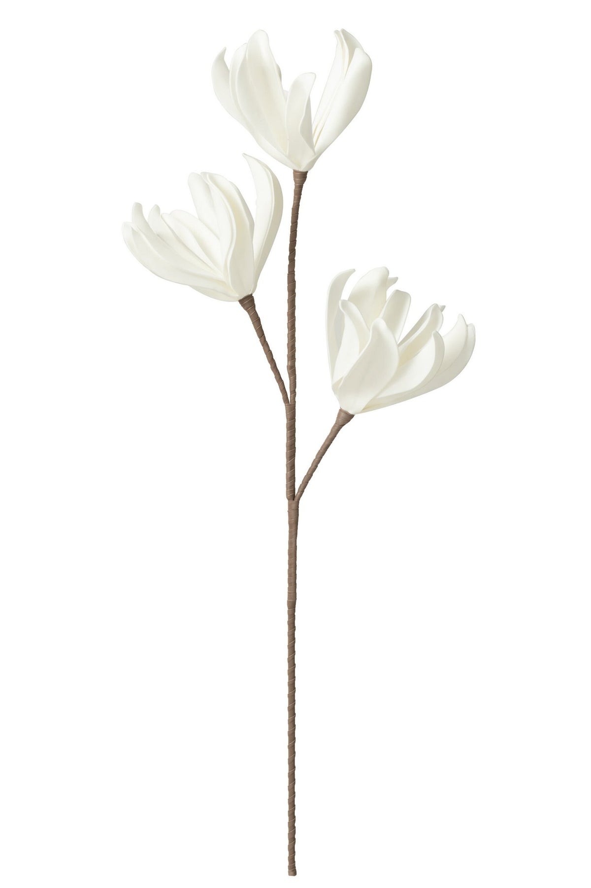 J-Line bloem Tak 3 Koppen Eva - polyresin - wit