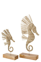 J-Line decoratie Zeepaard Op Voet - gras - naturel - L
