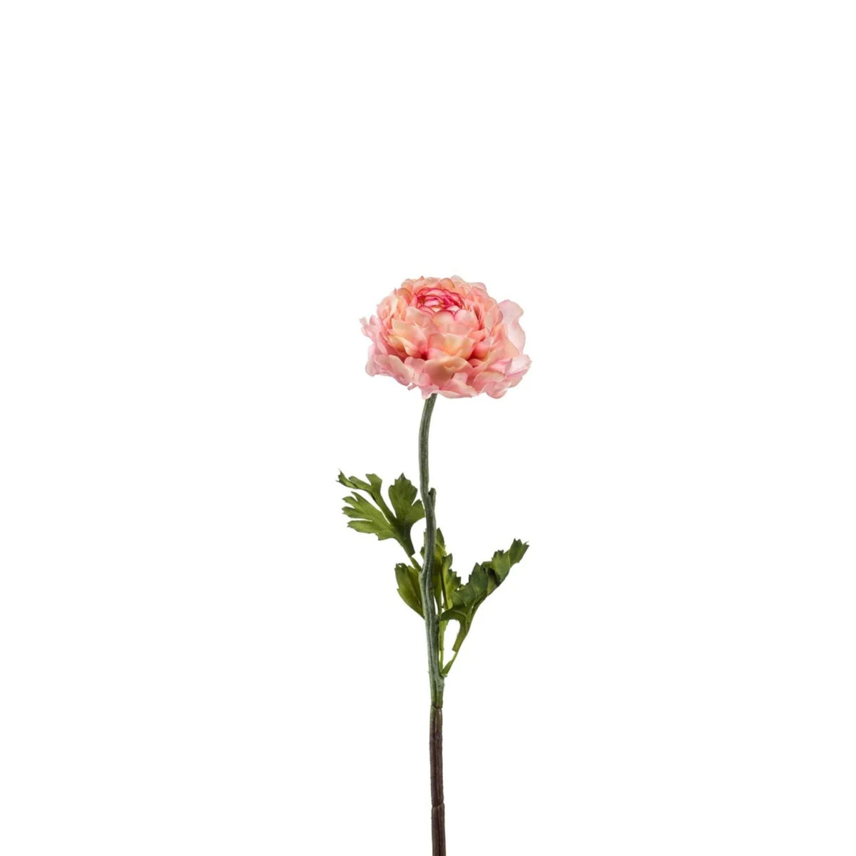 Ranonkel Kunsttak roze 50cm