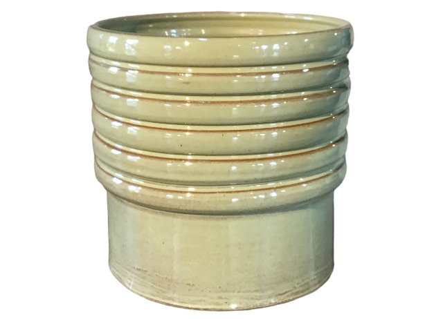 Doom pot sh olijf