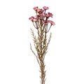 Kunstplant Roze Kunststof