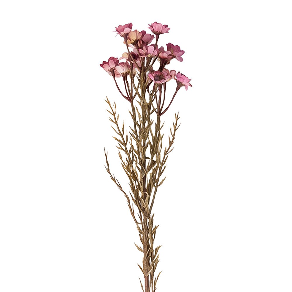 Kunstplant Roze Kunststof