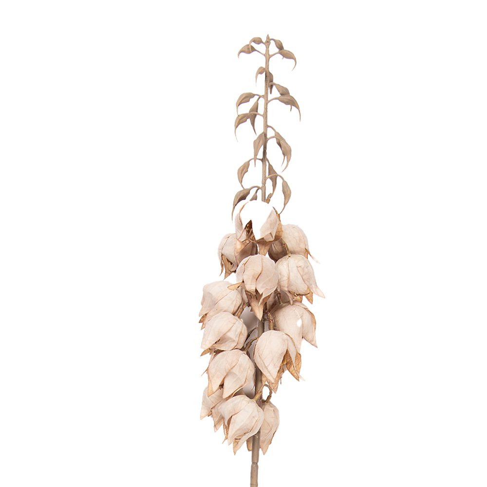 Kunstbloem 100 cm Beige Kunststof