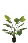 J-Line plant Taro Wild in pot - kunststof - groen - large