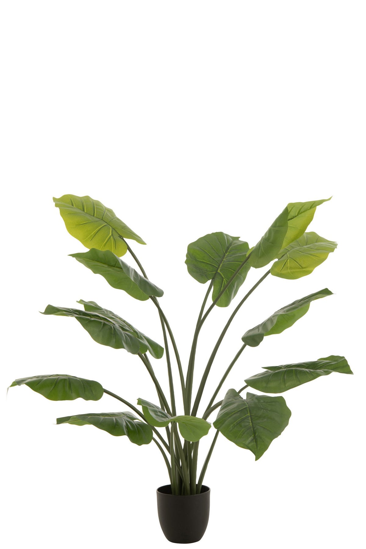 J-Line plant Taro Wild in pot - kunststof - groen - large