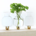 Glazen vaasjes met gouden clip S/3 4x7cm