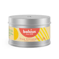 True Citronella Metalen tin 49/87