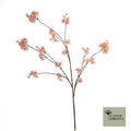 Prunus Malaga trosroze 126cm