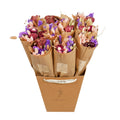 Gedroogde bloemen - Market Meer - Bourgondië