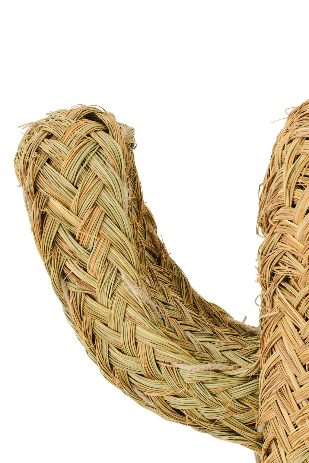 J-Line decoratie Cactus - riet - naturel - S