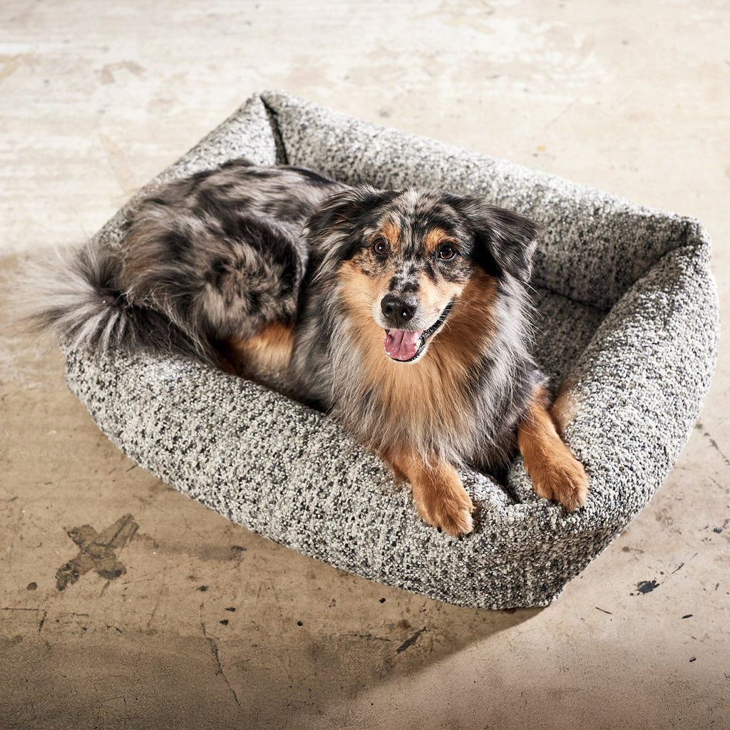 Siena Ortho | Premium orthopedisch hondenbed
