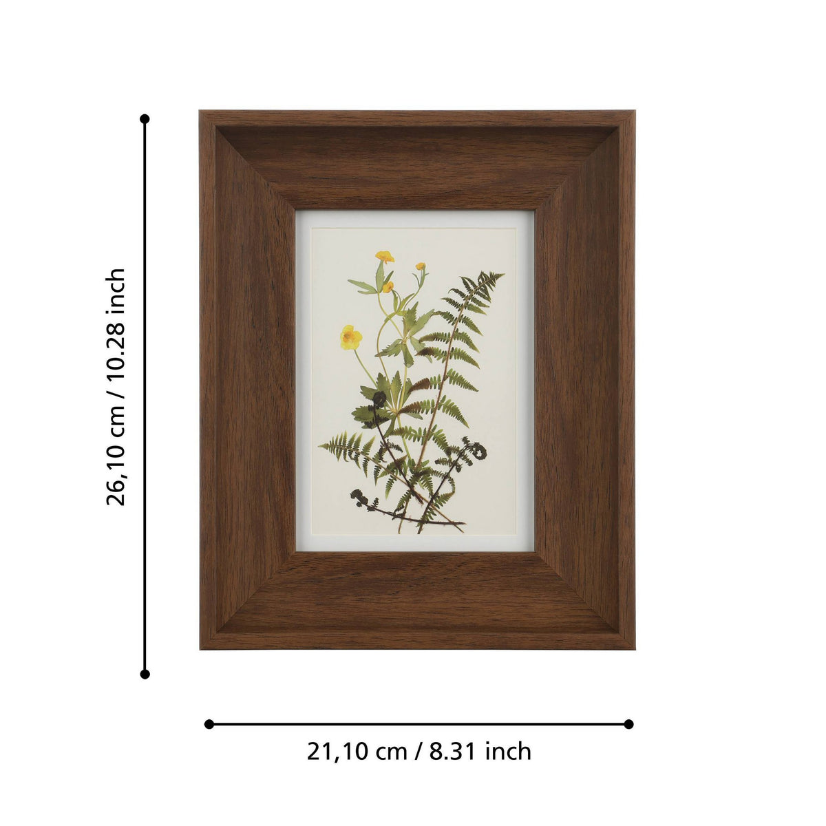 Fotolijst Renabie Bruin 21x26cm