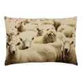 Canvas kussen schapen 40x60cm