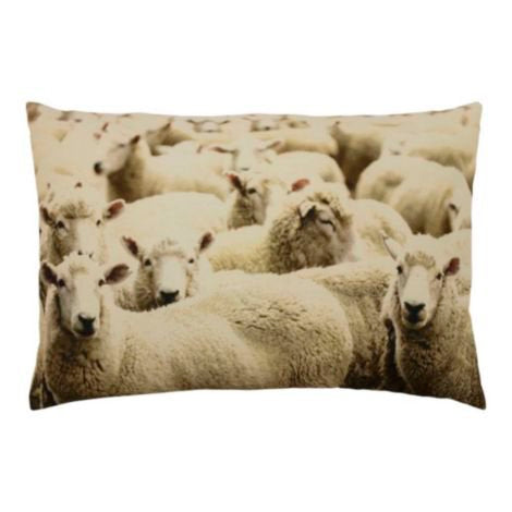 Canvas kussen schapen 40x60cm