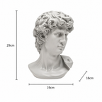 Witte David Bust Sculpture Michelangelo Geïnspireerd Klassiek Standbeeld voor Home Decor