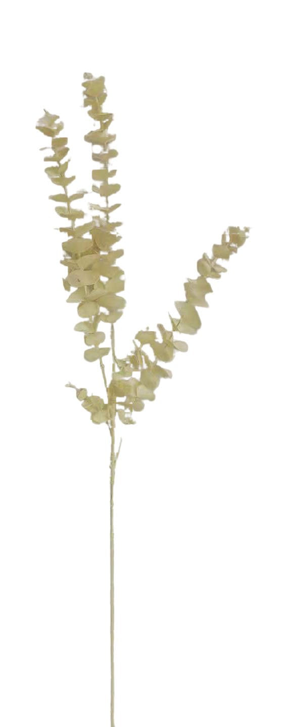 Art Tak Eucalyptus 82cm creme/wit
