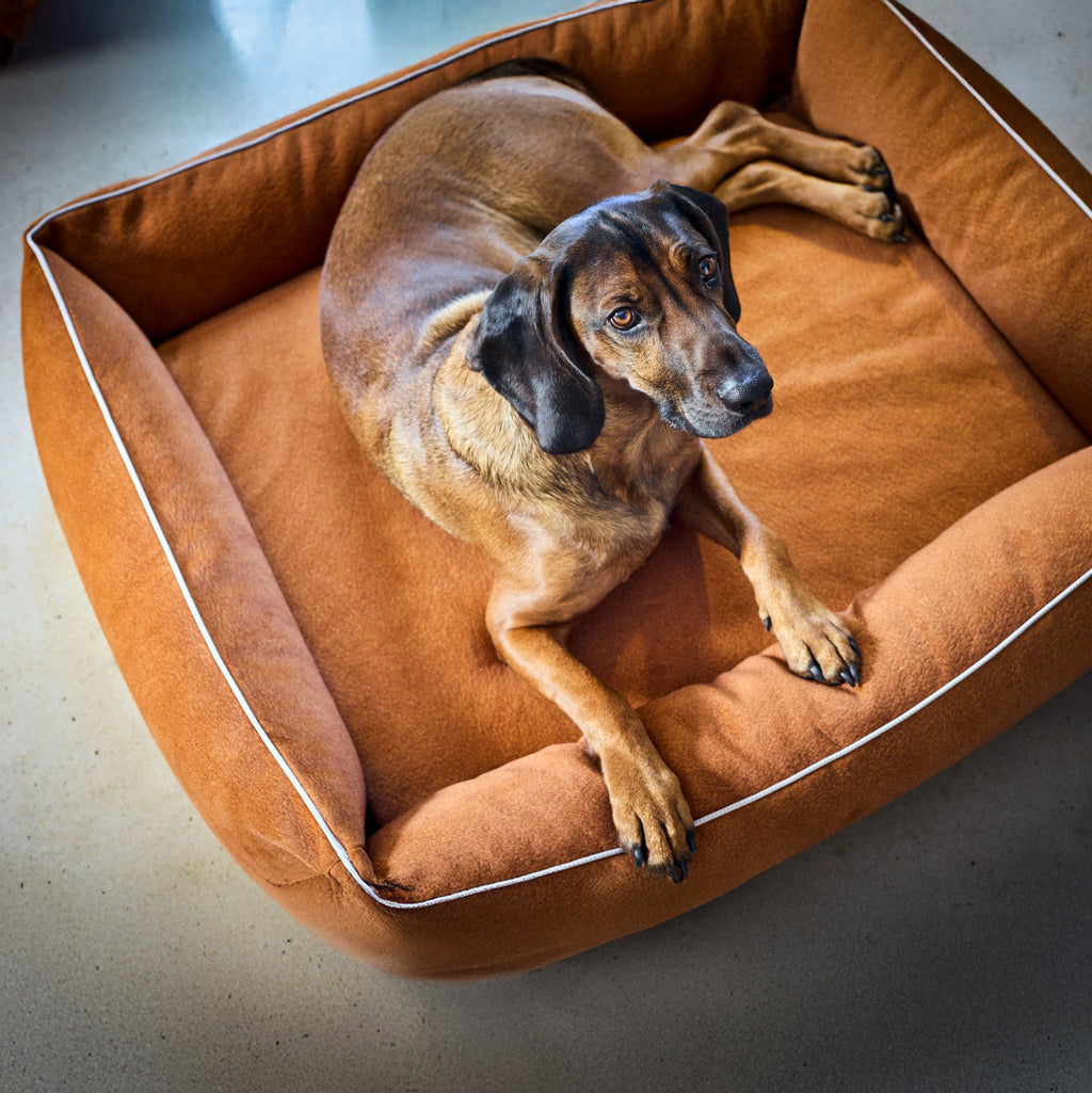 Buffel Ortho | Premium orthopedisch hondenbed
