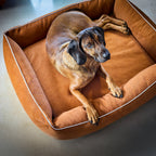 Buffel Ortho | Premium orthopedisch hondenbed