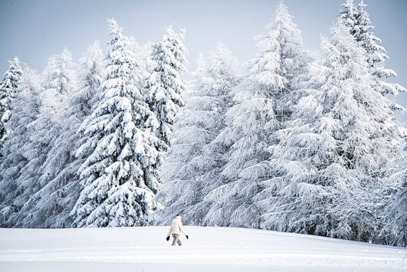 De kunst van het skiën (Engels)