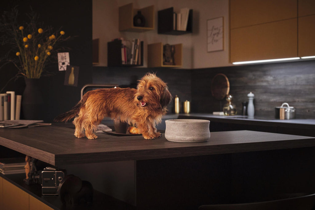 Rocky - elegante voerbak voor honden en katten