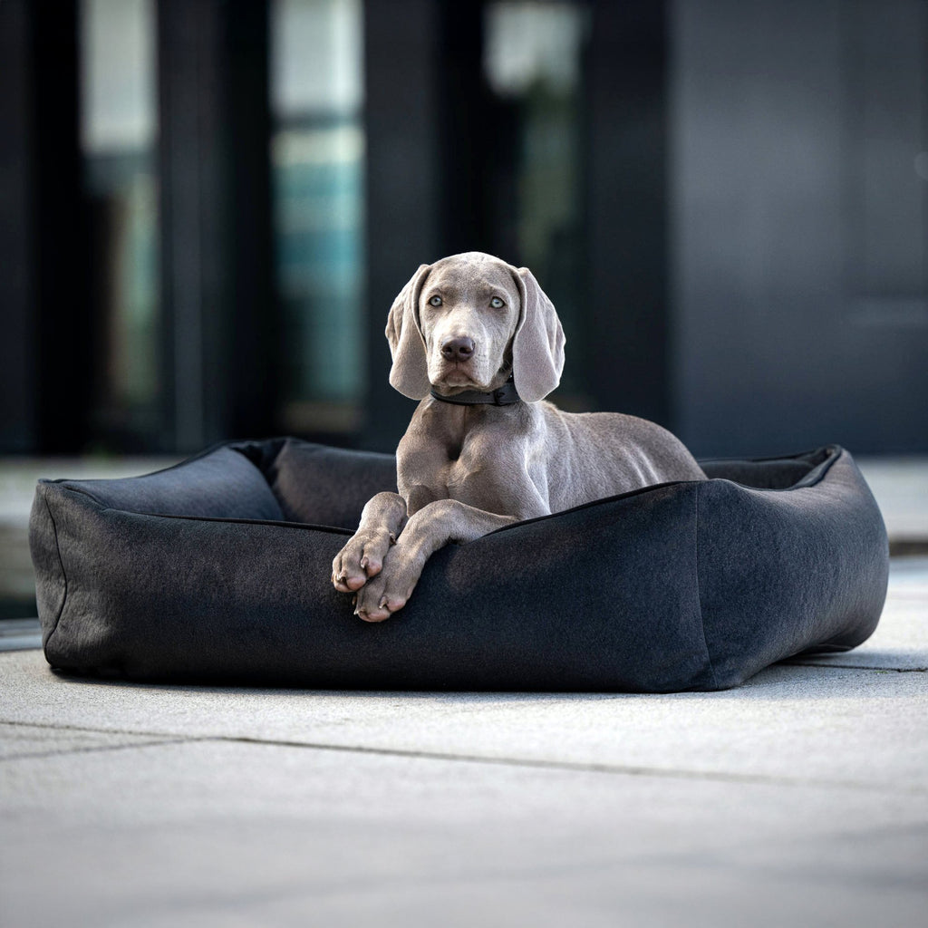 Buffel Ortho | Premium orthopedisch hondenbed