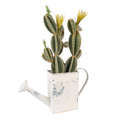 Decoratie Gieter 31x9x17 cm Beige IJzer