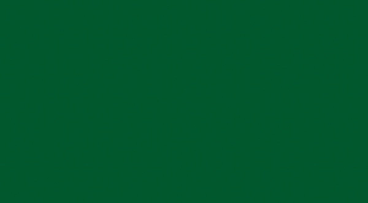 Chalkboard Zelfklevende Folie Mini rol groen 67,5cmx1,5mtr