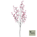 Bitterzoete bes roze 157cm