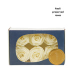 Rose Standard W-Box 6 creme