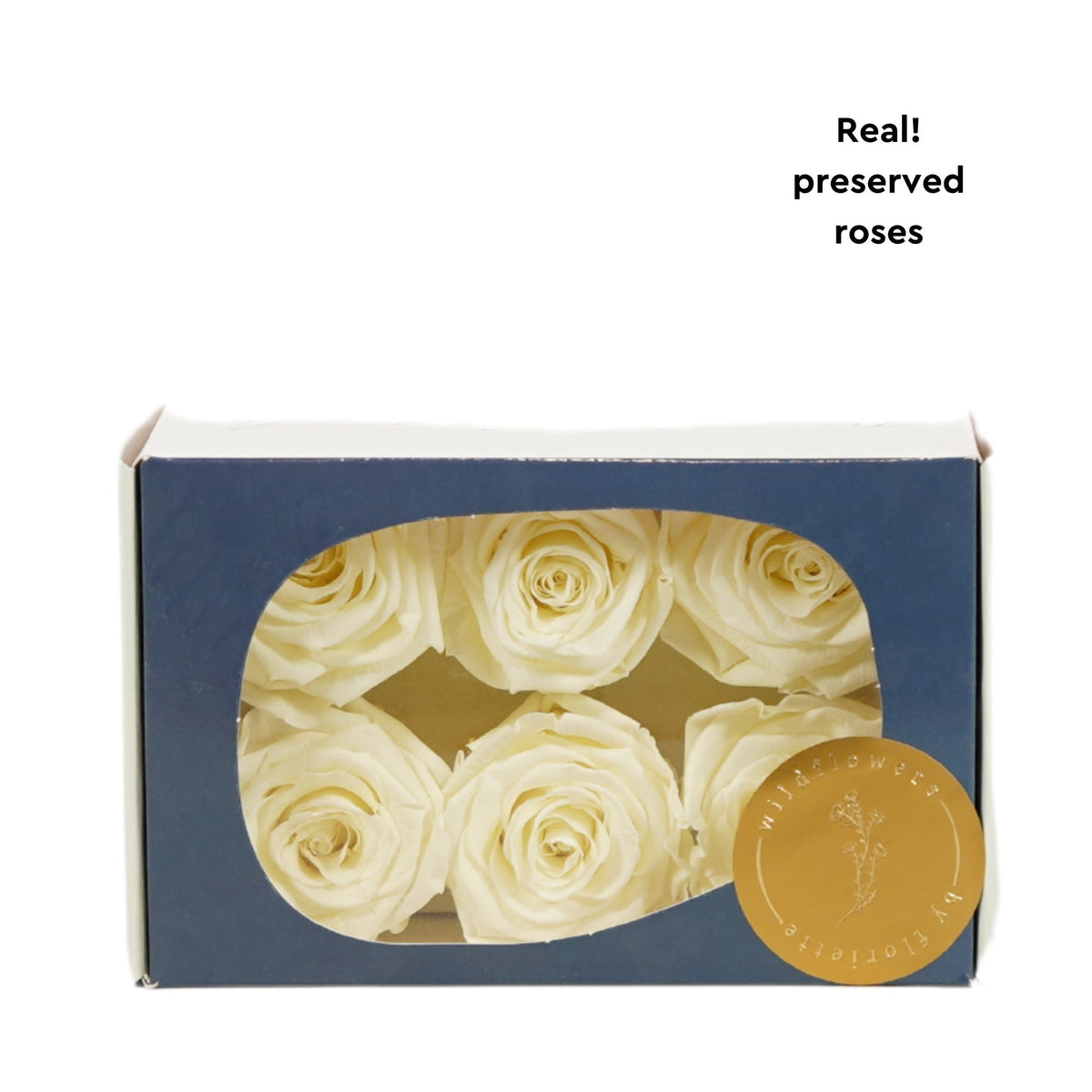 Rose Standard W-Box 6 creme