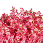Lathyrus kunstmatige spray x3 roze 75 cm