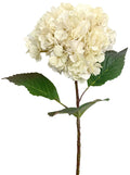 Kunst Hortensia 59cm creme/wit
