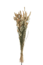 J-Line Droogbloemen - bundel pluim - gedroogd gras - naturel
