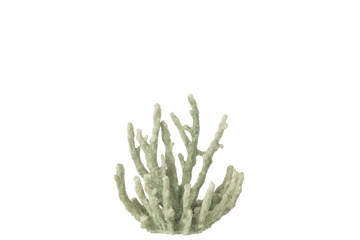 J-Line decoratie Koraal - polyresin - muntgroen - M