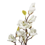 Kunstplant Magnolia 16x14x60 cm Wit Kunststof