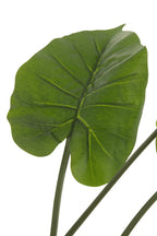 J-Line plant Taro Wild in pot - kunststof - groen - large