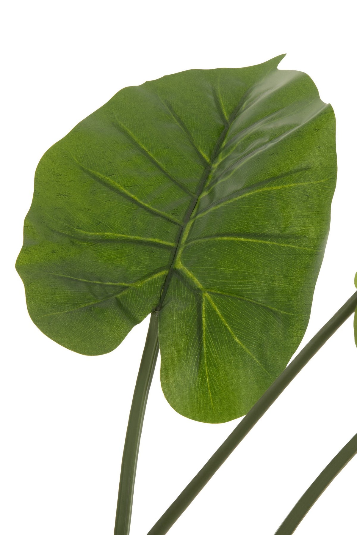 J-Line plant Taro Wild in pot - kunststof - groen - large