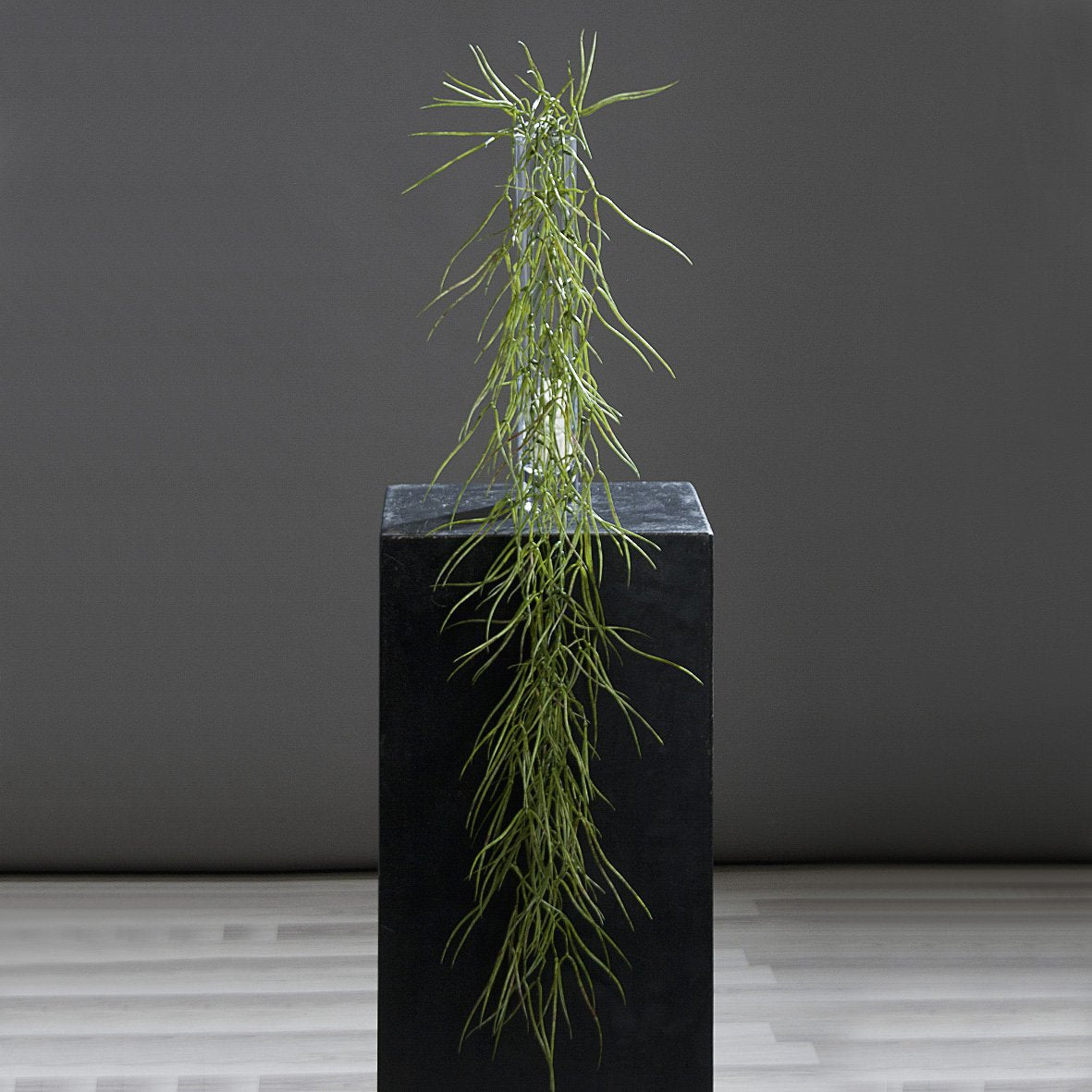 Succulentenhanger 144 cm