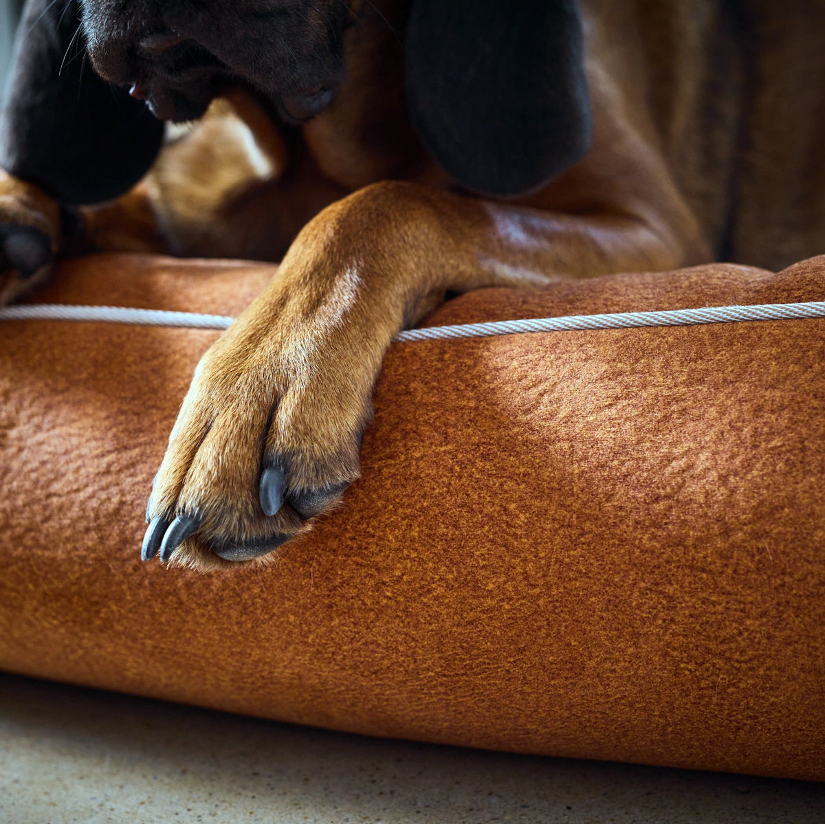 Buffel Ortho | Premium orthopedisch hondenbed