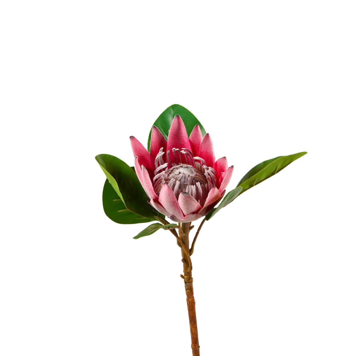 Protea Artificial Soft Touch 40 cm - roze - Speciale deal!