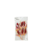 Minibundel Droogbloemen 11 cm - set van 6 - Rozenhout