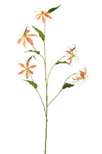 J-Line bloem Gloriosa - textiel - abrikoos