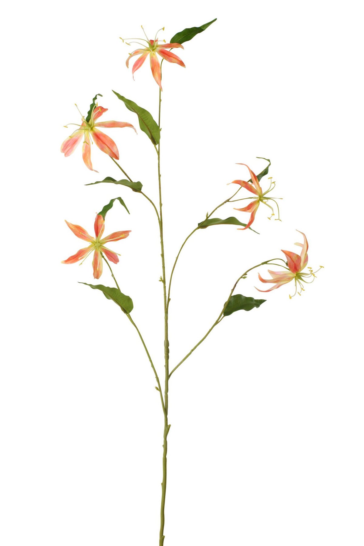 J-Line bloem Gloriosa - textiel - abrikoos
