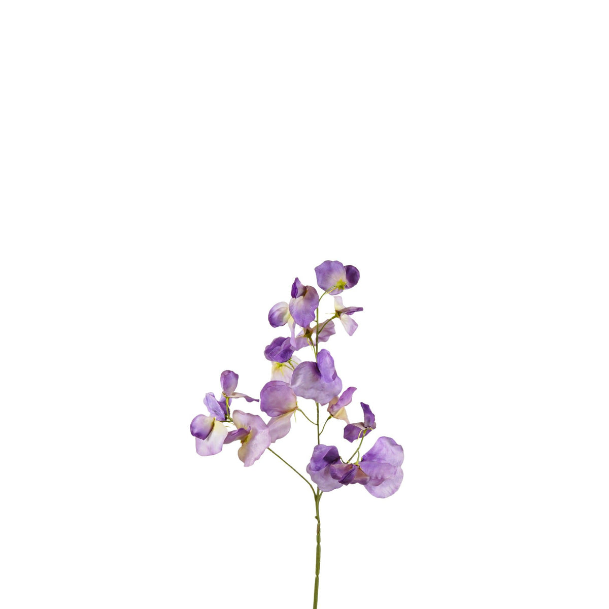 Lathyrus Kunstspray x3 paars 75cm