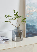 Vaas Nabas Transparant 21x24,5cm