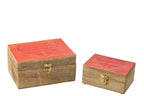 J-Line Set Van 2 Dozen Hart Mangohout Rood