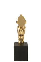 J-Line figuur Paard Op Voet - polyresin - goud/zwart - S