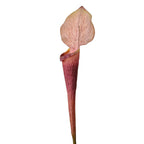 Kunstbloem 75 cm Paars Kunststof